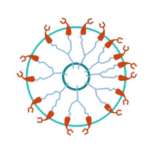 LC-EGFR.jpg
